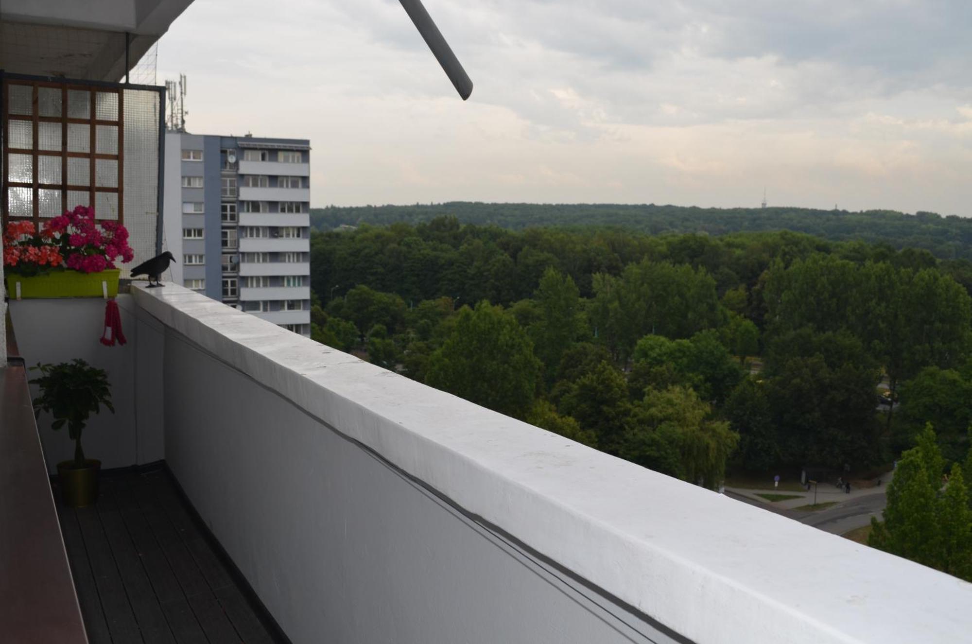 Apartment Silesia Park - Free Parking - Easy Check-In Katowice Exterior foto